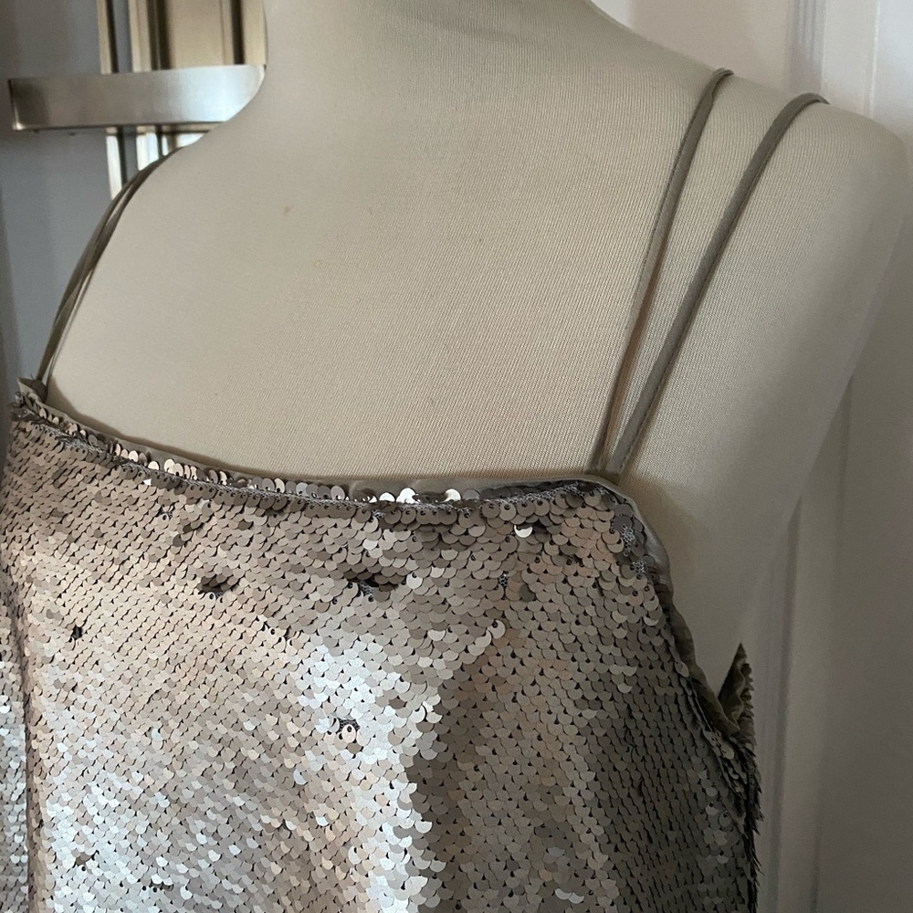 NWT Banana Republic from TJ Maxx Sequin Dress - Picture 2 of 9